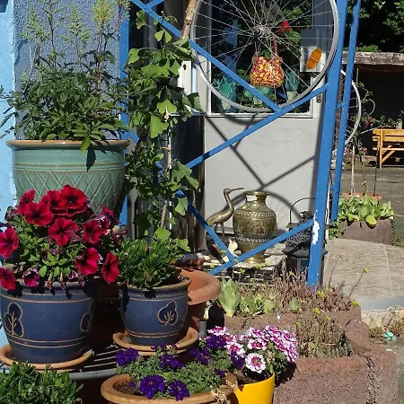 מלון Gasthof Blaues Haus באסטורף